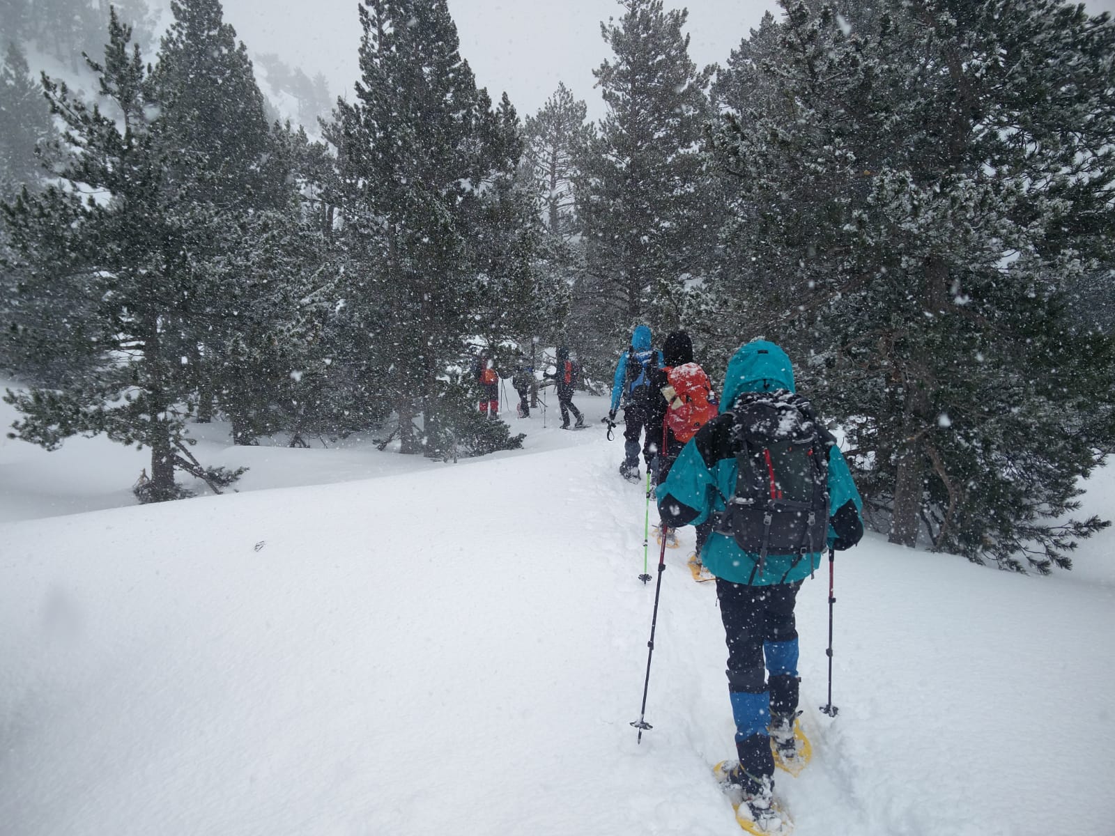 Técnico Deportivo en Media Montaña